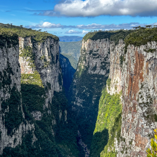 Trilha da Borda do Canyon Itaimbezinho - Canyons do Brasil