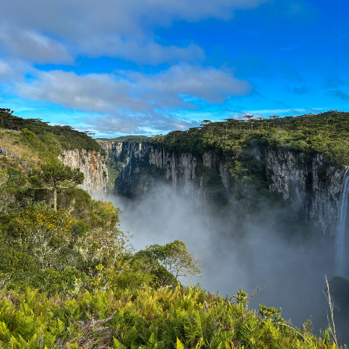 Day Tour Canyons do Brasil